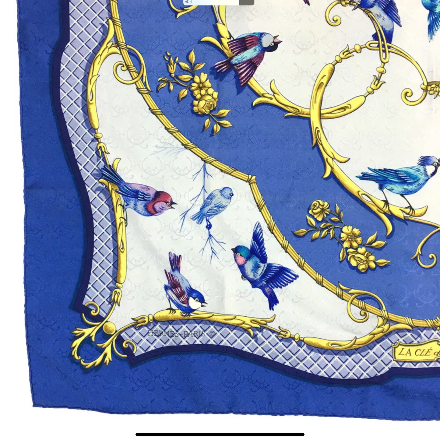 Hermès Lacle des Champs Carre Silk Scarf